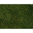 NOCH 7280 FOGLIAME A STRAPPO ERBA SELVATICA VERDE CHIARO
