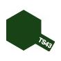 TAMIYA TS43 RACING GREEN