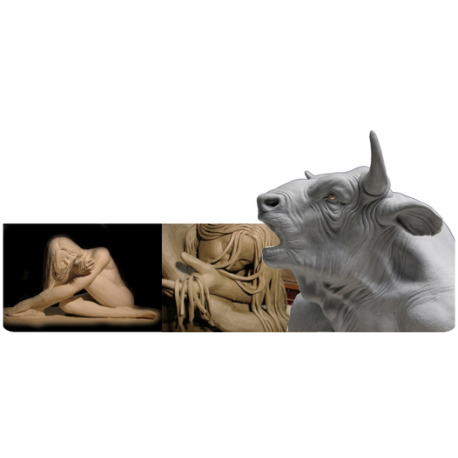 PROCHIMA DEGAS 70 PLASTILINA MEDIA 0,5 KG