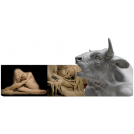 PROCHIMA DEGAS 70 PLASTYLINE MEDIUM 0,5KG