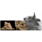 PROCHIMA DEGAS 70 PLASTYLINE MEDIUM 0,5KG