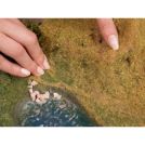 NOCH 07290 FOGLIAME A STRAPPO GIALLO VERDE