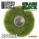 GREEN STUFF WORLD Static Grass Flock 4-6mm - SPRING GRASS - 200 ml