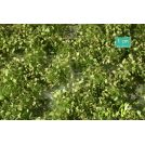 MININATUR WEED TUFTS SPRING