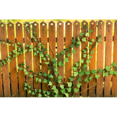 Model scene VG3-029 Edera