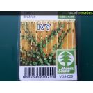 Model scene VG3-029 Edera