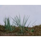 Model scene VG3-030 Felce