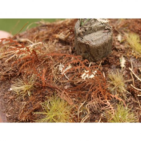 Model scene VG3-030 Dry Fern