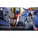 BANDAI REAL GRADE RG 1/144 GUNDAM HI NU