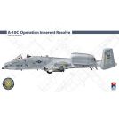 HOBBY 2000 48029 A-10C Special Schemes