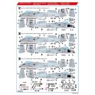 HOBBY 2000 48029 A-10C Special Schemes