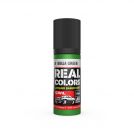 AK REAAK REAL COLORS RC849 Ninja Green 17ml