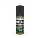AK REAL COLORS RC853 Graugrün-Grey Green RAL 7008 17ml