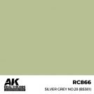 AK REAL COLORS RC866 Silver Grey No.28 (BS381) 17ml