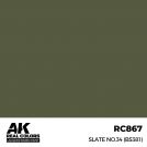 AK REAL COLORS RC867 Slate No.34 (BS381) 17ml