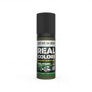 AK REAL COLORS RC867 Slate No.34 (BS381) 17ml