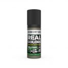 AK REAL COLORS RC879 Russian Grey Green 17ml