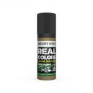 AK REAL COLORS RC881 IDF Sand Grey 1970s-1980s 17ml