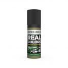 AK REAL COLORS RC933 RLM 02 RLM-Grau (1941) 17ml