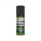 AK REAL COLORS RC956 IJN M3(M) Mitsubishi Interior Green 17ml