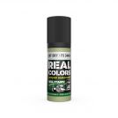 AK REAL COLORS RC964 RAF Sky / FS 34424 17ml