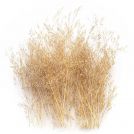 GREEN STUFF WORLD Alberi Sottili per modelli