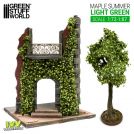 Edera in miniatura - Acero verde chiaro - Grande