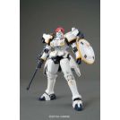 BANDAI MASTER GRADE MG Gundam Fenice Rinascita 1/100