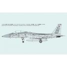 FINE MOLDS F-4J Jet Fighter VF-96 ”Showtime100” 1//72