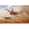 EDUARD 11187 Curtiss Kittyhawk Mk.Ia / Mk.IV - Dual Combo 1/48