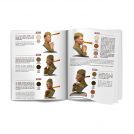 AK INTERACTIVE MASTER ACRYLIC WASH SET – FULL RANGE (18 COLORS)