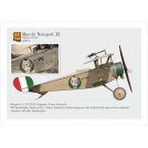 Copper State Models 32015 Nieuport XI Italian Service