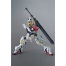 BANDAI HIGH GRADE Hg Gundam Astray Red Frame Flight 1/144