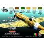 Life Color Regia Aeronautica WII