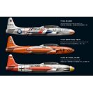 Great Wall Hobby GW4819 T-33A Early Version 1/48